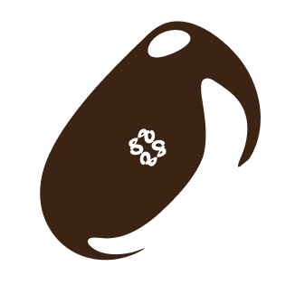 SoftSHELLETUI
